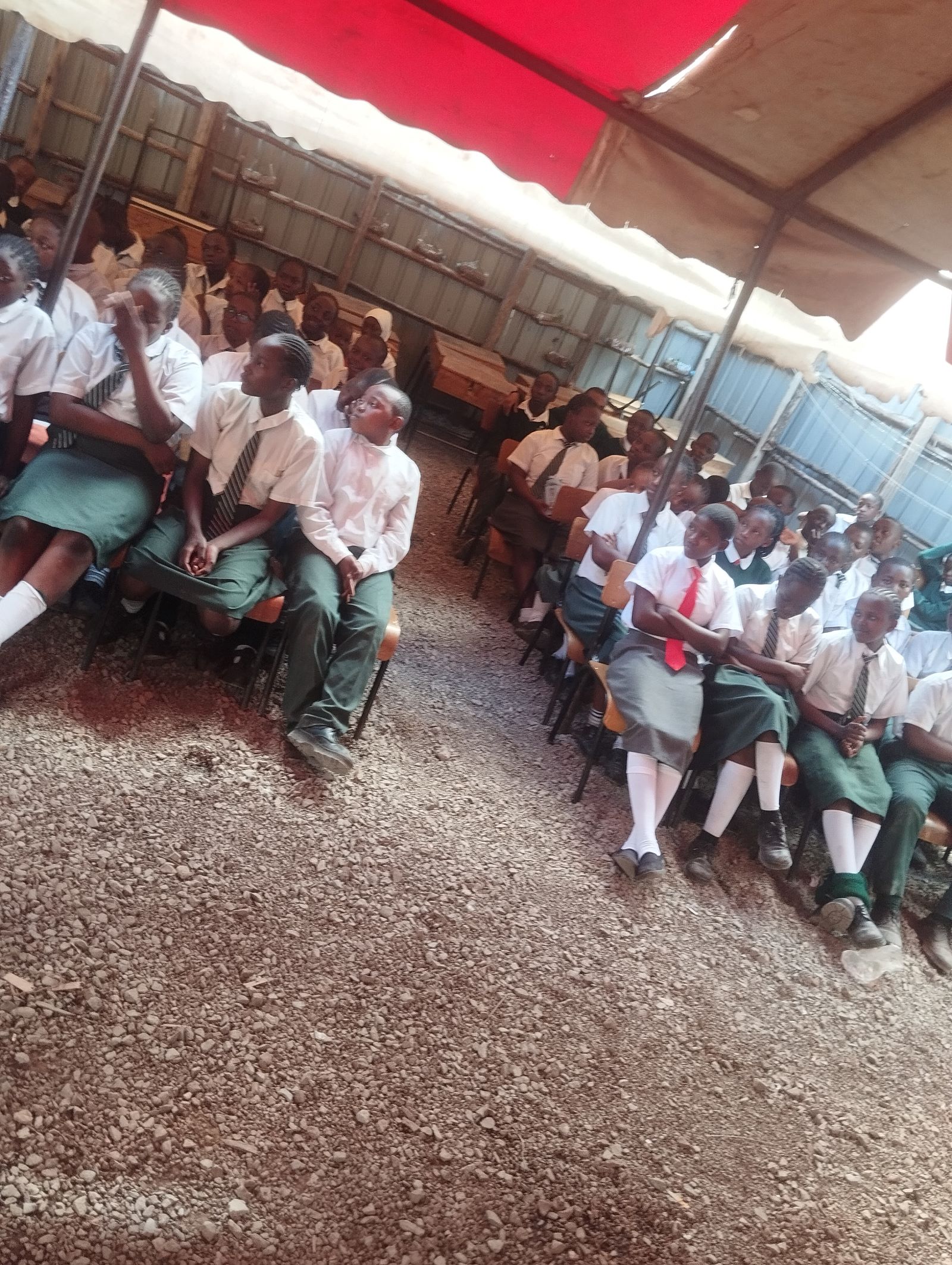 OUT Organization mentorship and education program